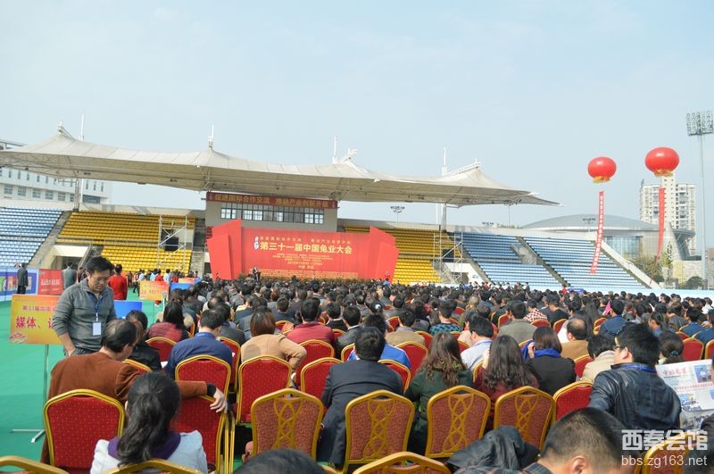  法外风云 第27集预告_ 法外风云29 预告_法外风