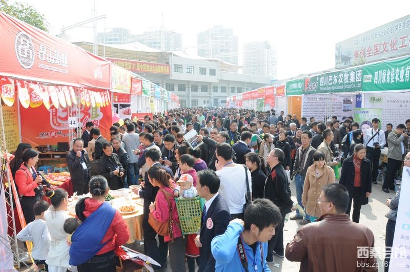  法外风云 第27集预告_ 法外风云29 预告_法外风