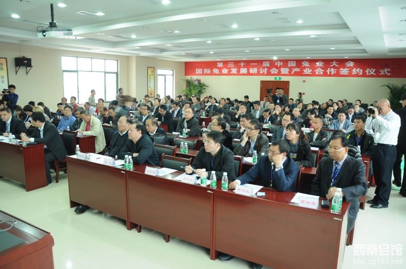  法外风云 第27集预告_ 法外风云29 预告_法外风