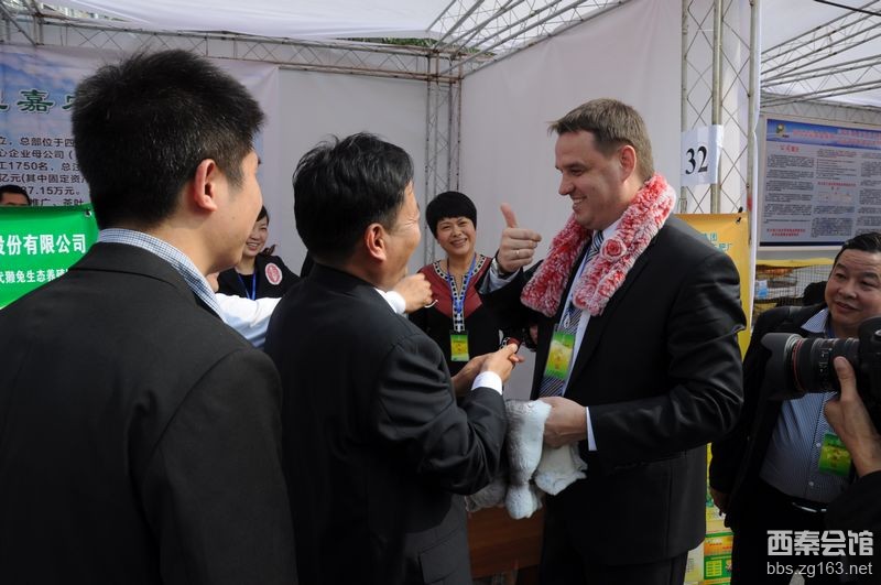  法外风云 第27集预告_ 法外风云29 预告_法外风