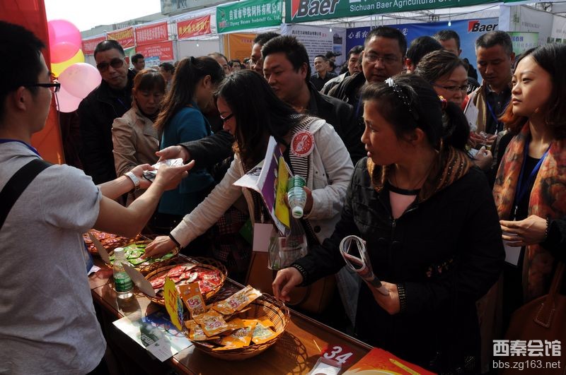  法外风云 第27集预告_ 法外风云29 预告_法外风