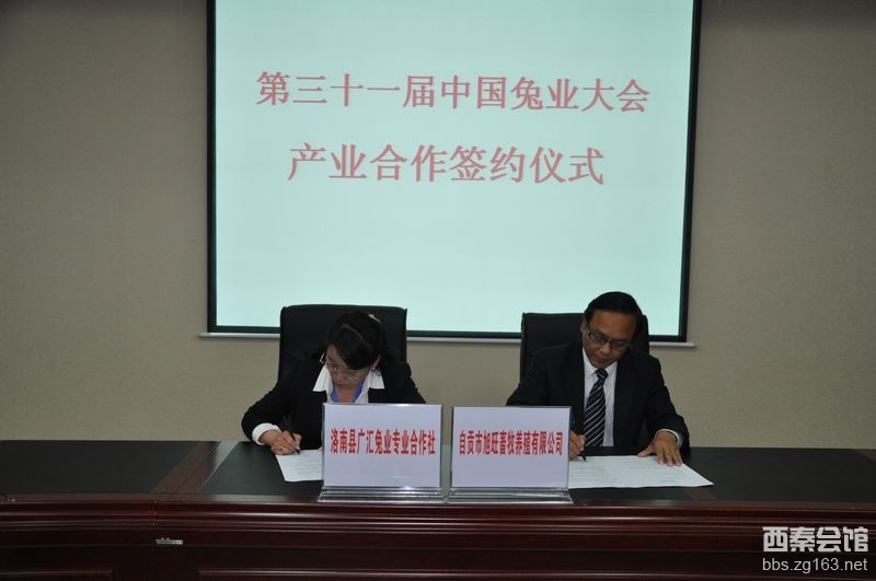  法外风云 第27集预告_ 法外风云29 预告_法外风