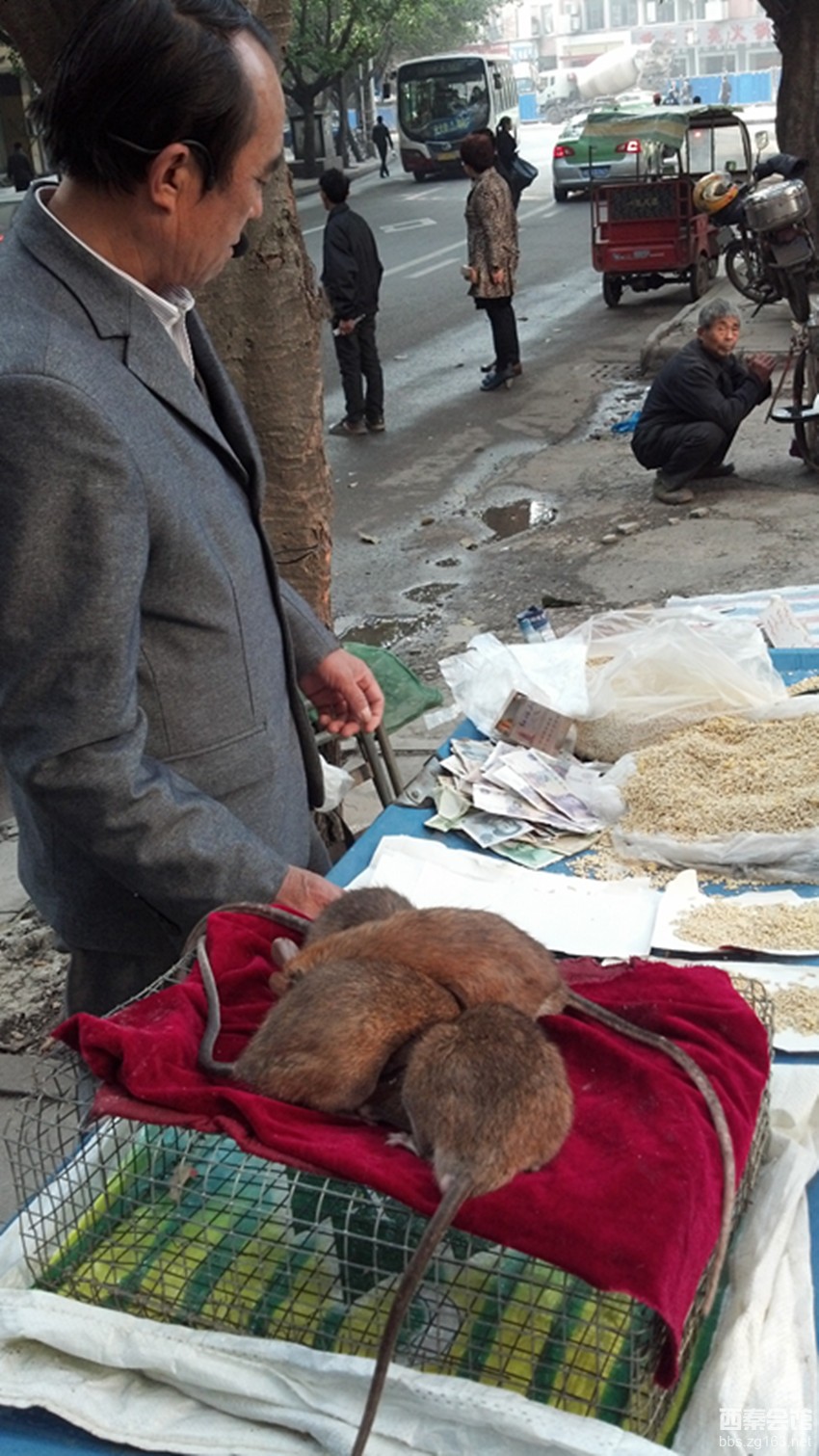 1号店网上商城_京东商城1号店_一号店网上超