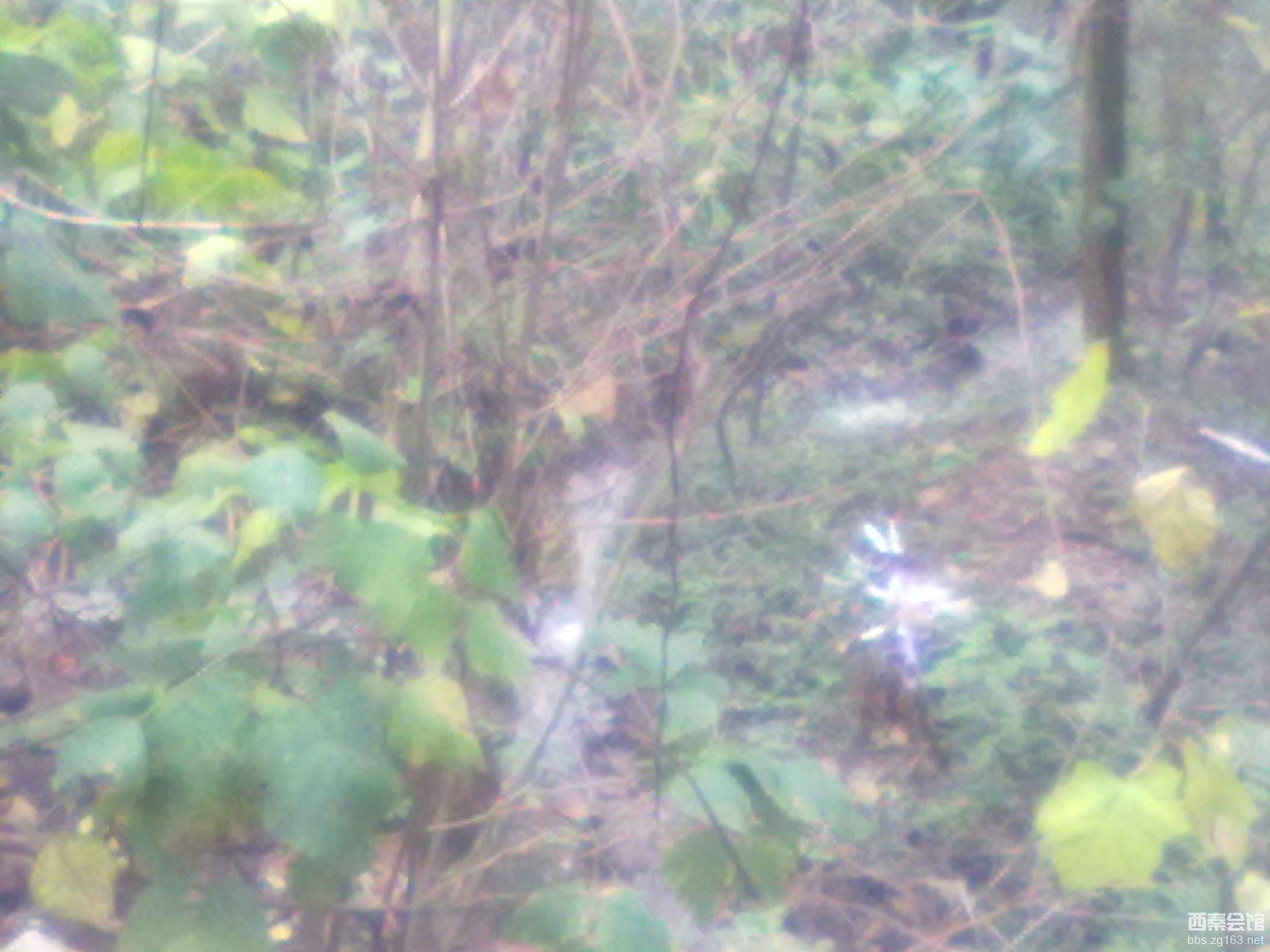 <em>织毛衣</em>的<em>针法</em>_怎么织宝宝毛衣_男装毛衣编织