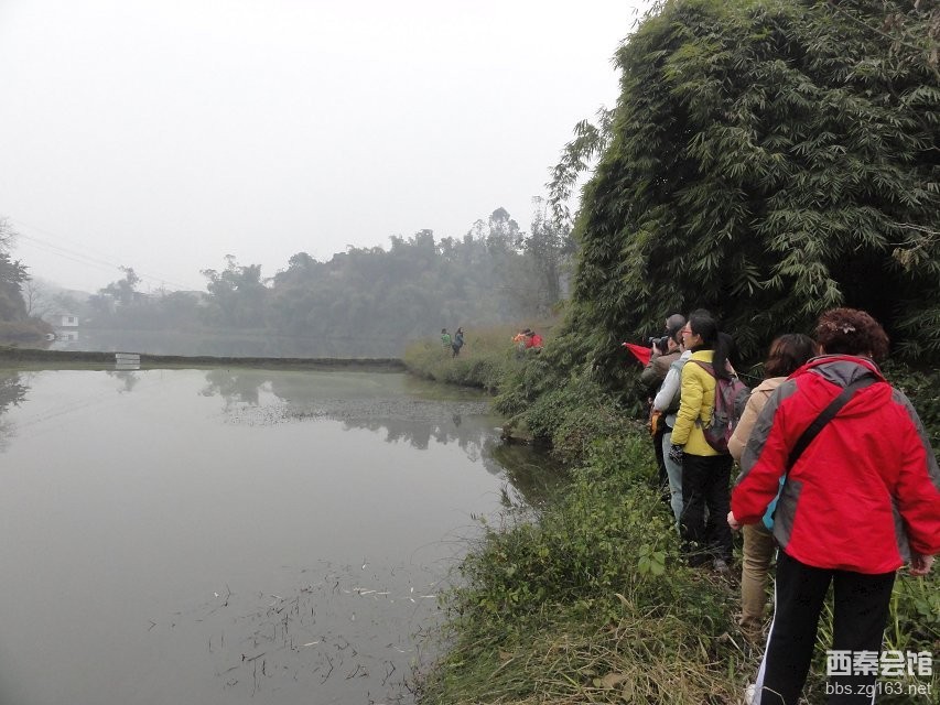 京东商城三星手机_京东商城网上购物流程_英