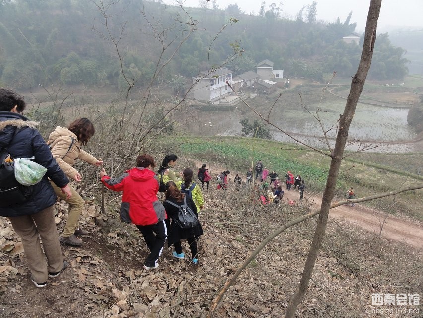京东商城三星手机_京东商城网上购物流程_英