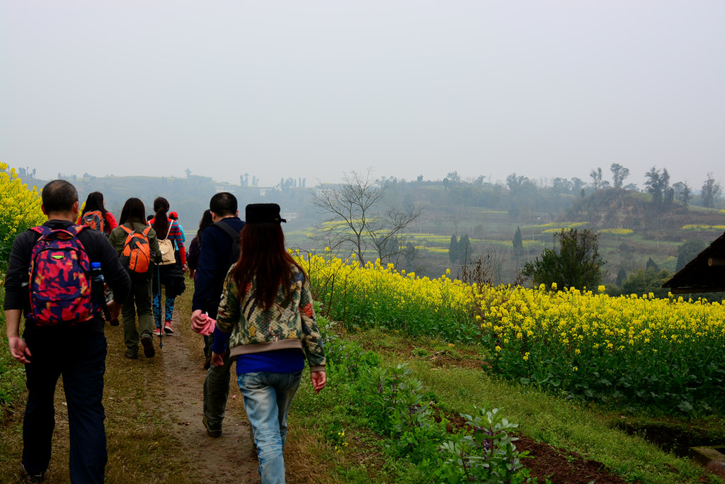 北京卫视节目表_不朽的名曲_深圳卫视节目表