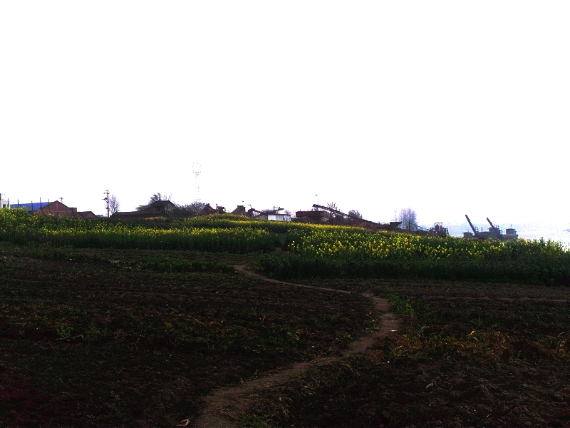 5l酒是多少斤_5l是多少千克_1l是多少斤