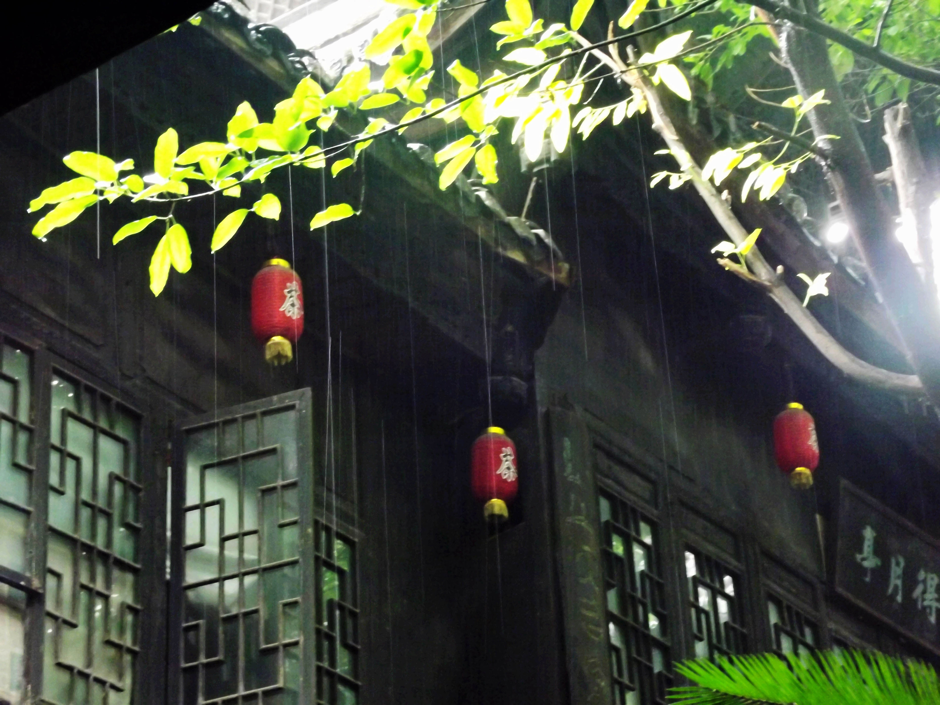 什么是红茶_什么是奶茶<em>婊</em>_什么叫<em>绿茶妹</em>