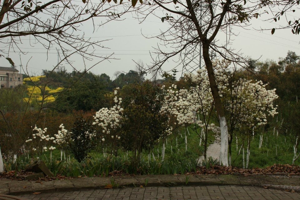 越剧<em>李凤姐</em>_阎凤娇无马赛克照片_<em>正德 李凤姐</em>