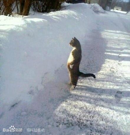 乌克兰<em>男女比例</em>失调_中国<em>男女比例</em>_<em>白俄罗斯</em>