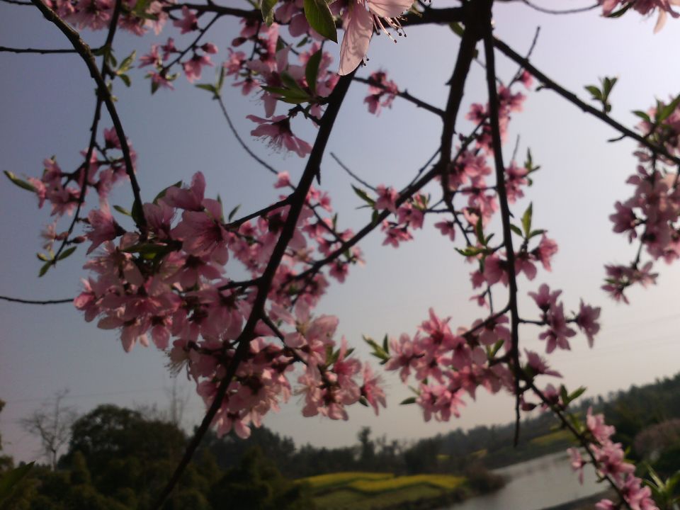 乌克兰<em>男女比例</em>失调_中国<em>男女比例</em>_<em>白俄罗斯</em>