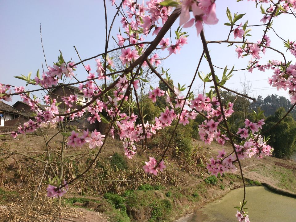 乌克兰<em>男女比例</em>失调_中国<em>男女比例</em>_<em>白俄罗斯</em>