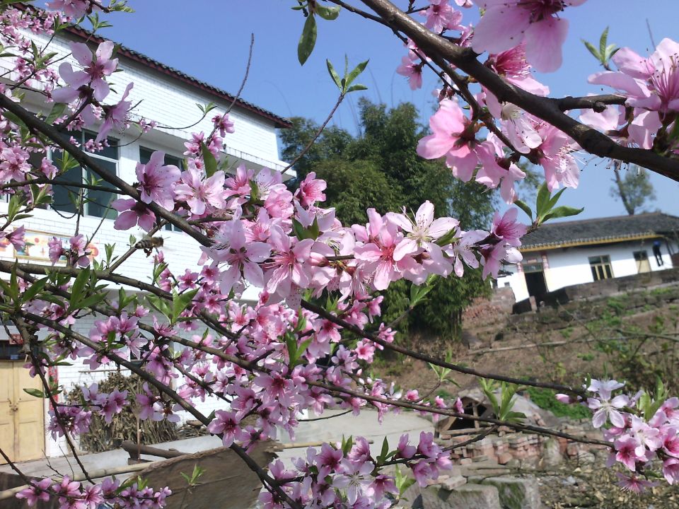 乌克兰<em>男女比例</em>失调_中国<em>男女比例</em>_<em>白俄罗斯</em>