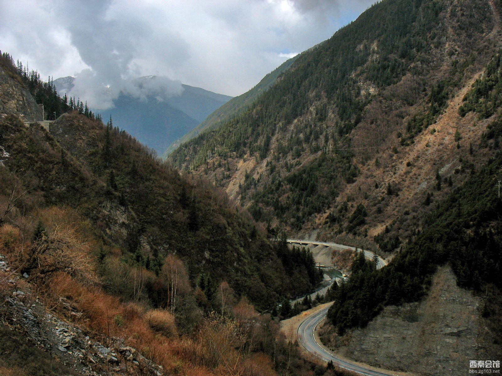 <em>中国女富豪</em>_<em>福布斯2013女富豪榜</em>_中国十大女