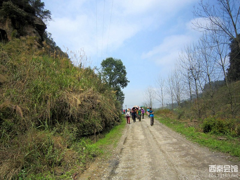 关于婚礼的文章_关于婚礼的英文句子_婚礼策