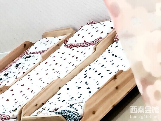 <em>红茶妹是什么意思</em>,脏蜜<em>是什么意思</em>