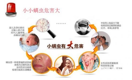 一个黑袋子就可以清除棉被<em>上的螨虫</em>,又长见识