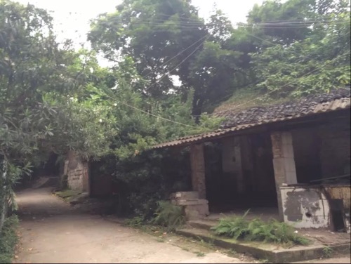 自贡再加把劲~沦为五线城市