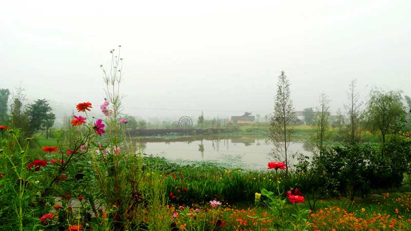 仙市.百胜村-西秦会馆图片