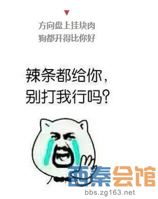 考驾照是会呼吸的痛!那些驾校教练的经典语录