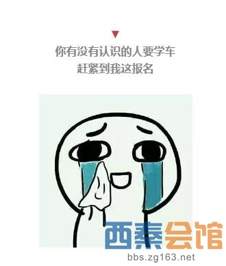 考驾照是会呼吸的痛!那些驾校教练的经典语录