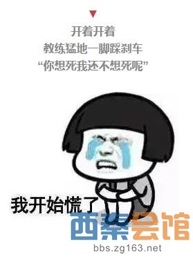 考驾照是会呼吸的痛!那些驾校教练的经典语录