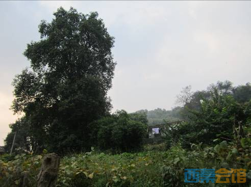 中国战时儿童保育会(川六院)自贡旧址寻访记【