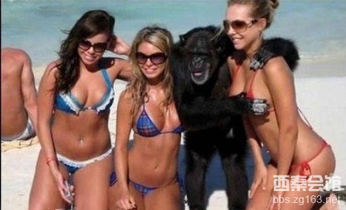 放开<em>那个女孩</em>,让<em>楼下</em>的上-西秦会馆 - 自贡在线