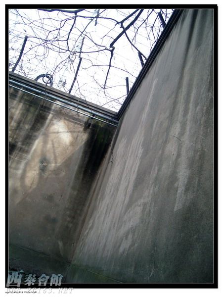 回忆峥嵘岁月 上海龙华革命烈士陵园雕塑和油