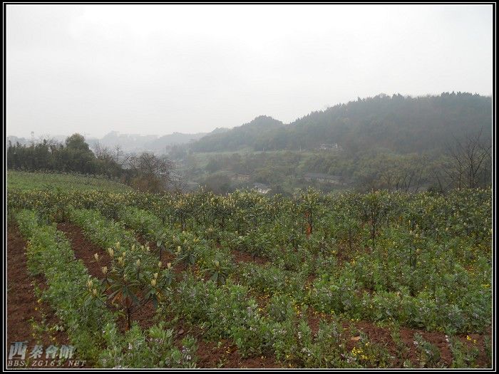 2010年大年初五,仁山智水暴走簸米湾-新民