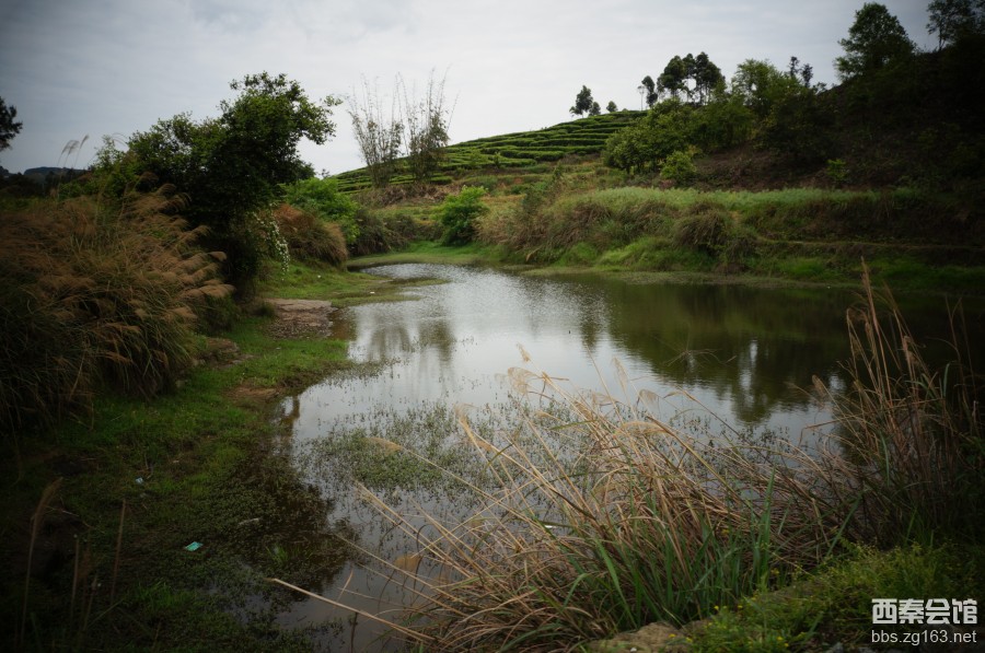 19荣县花龙沟之行—贴近自然天然氧吧