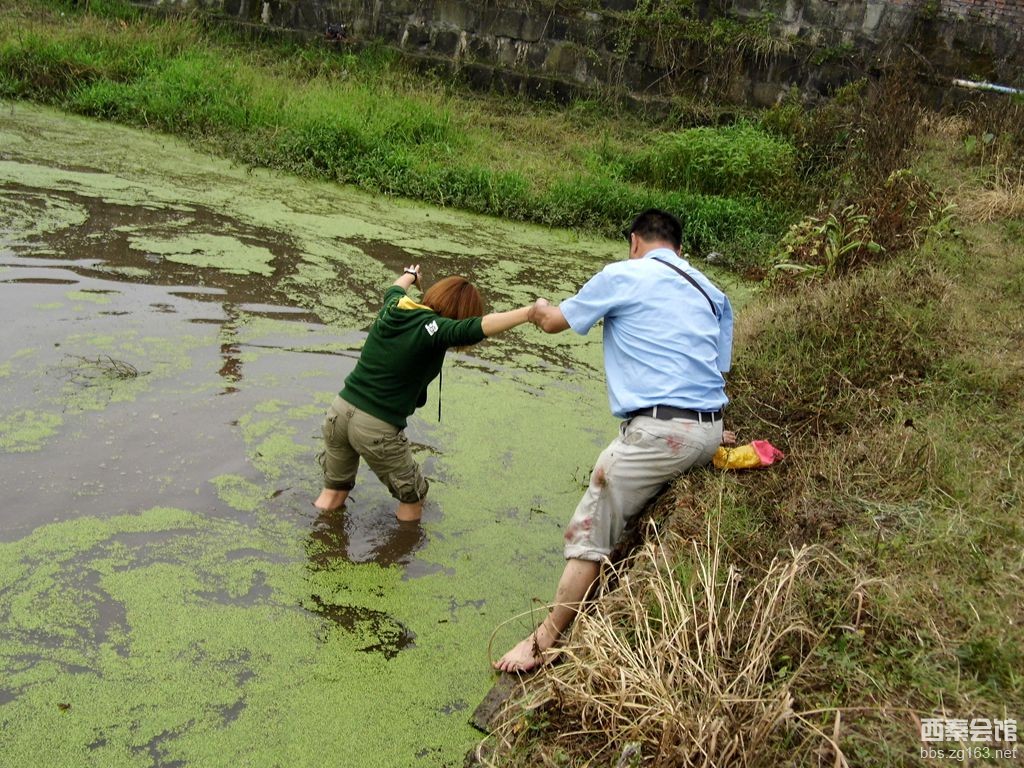 放飞心情之一百四十-土柱村摸田螺烹美味 享受摸螺丝的全过程-西秦会