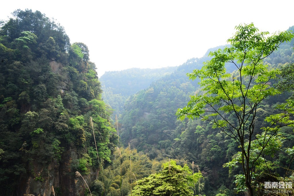 【走进自然】—春游荣县花龙沟