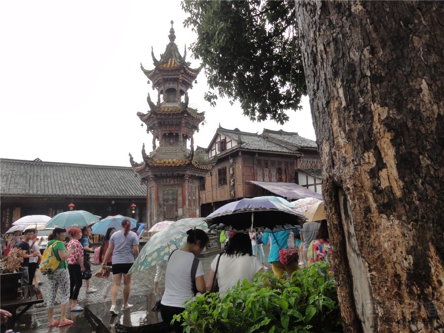 "快乐足迹"把欢乐撒满五龙谷