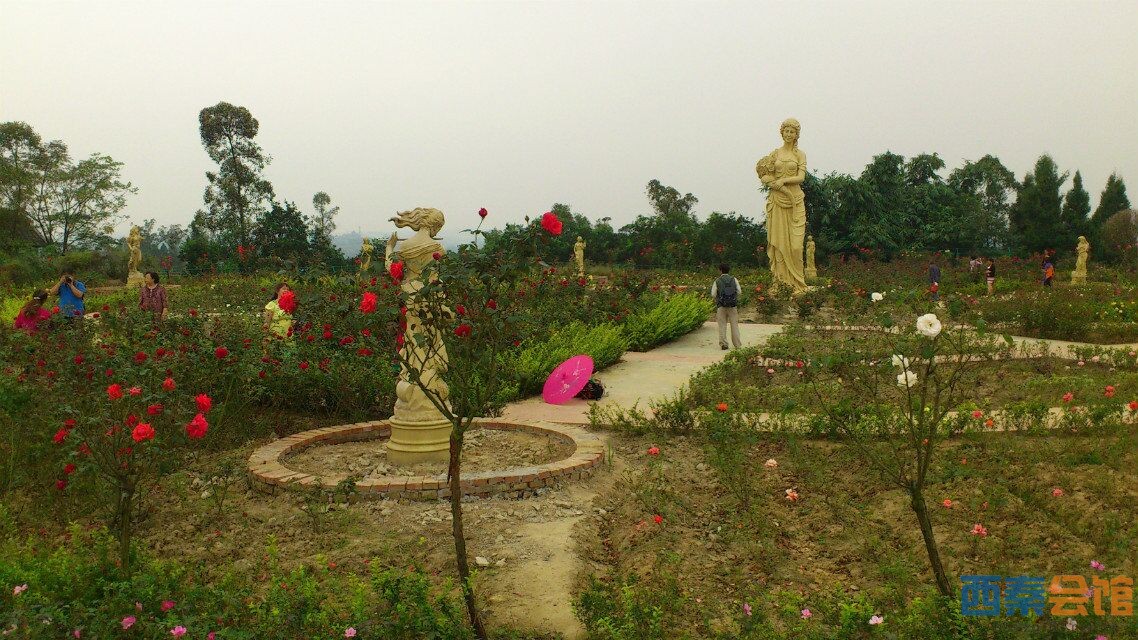 走进自然朝天寺玫瑰海香炉寺休闲游