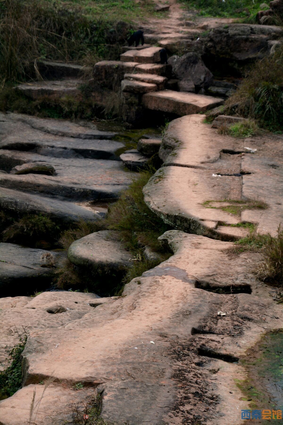 快乐足迹探游舒家坝