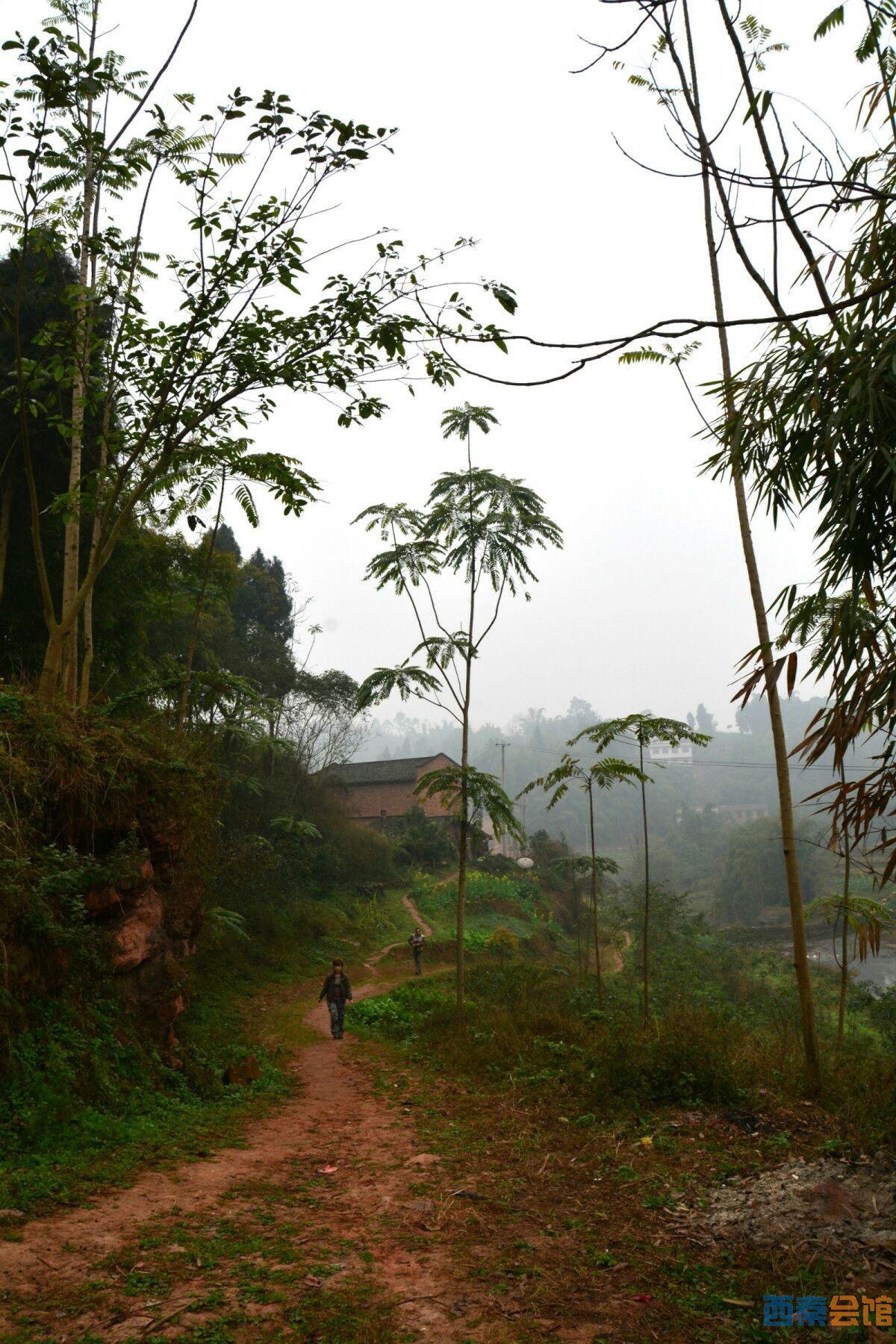 快乐足迹探游舒家坝
