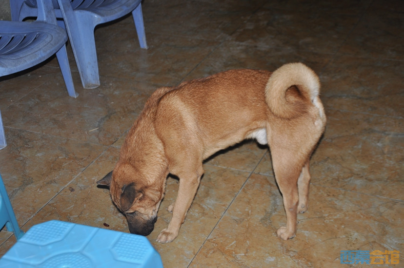 DSC_0239.JPG