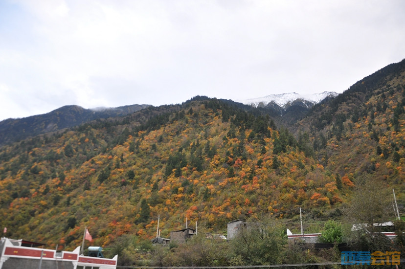 DSC_0083.JPG
