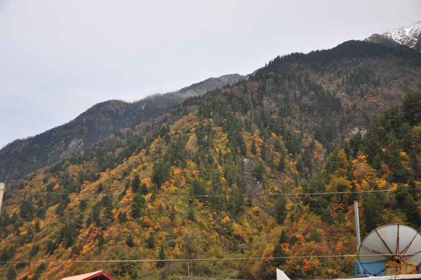 DSC_0087.JPG