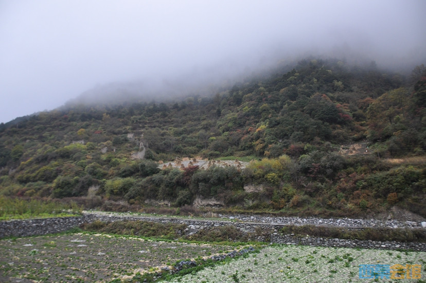 DSC_0121.JPG