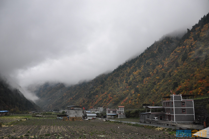 DSC_0123.JPG