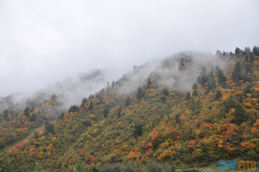 DSC_0144.JPG