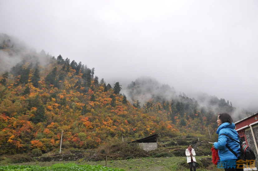 DSC_0147.JPG