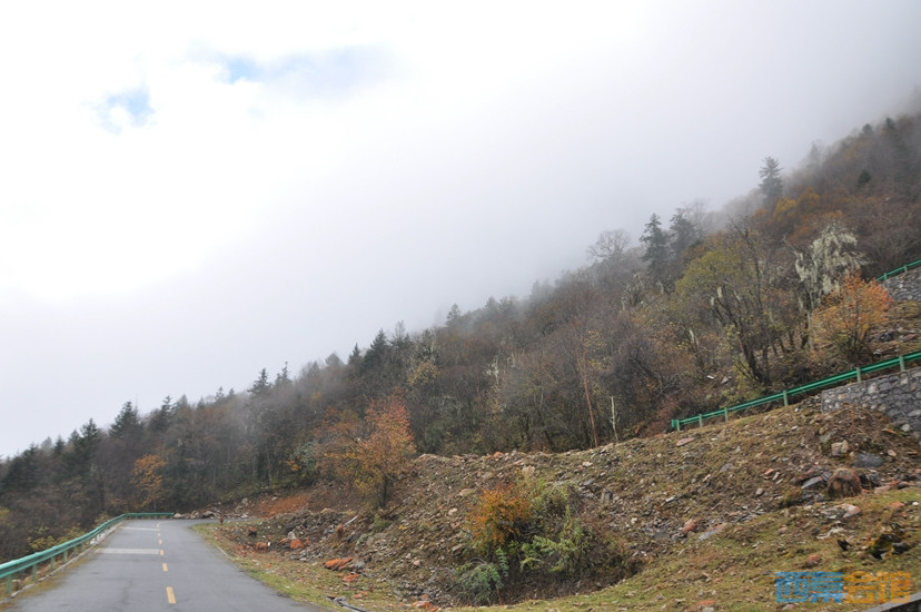 DSC_0154.JPG