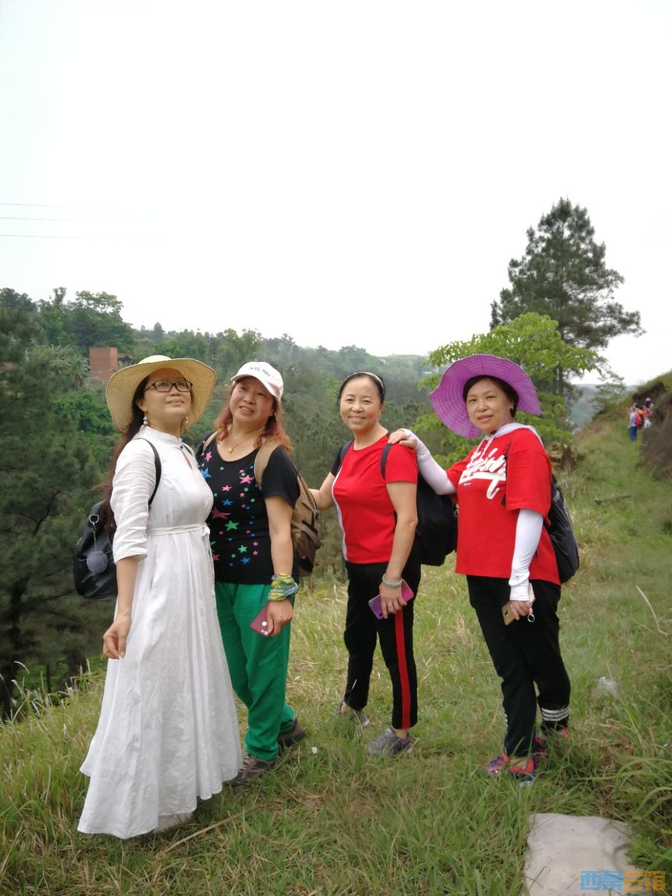 20190513_1429792_1557746130167.jpg