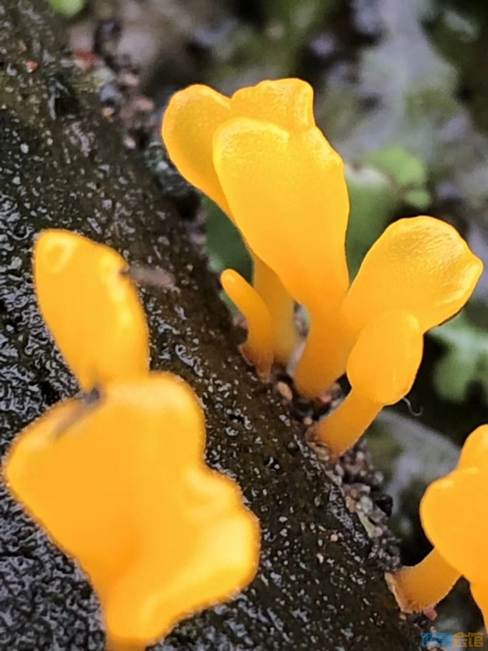 20190619_1429792_1560899296937.jpg