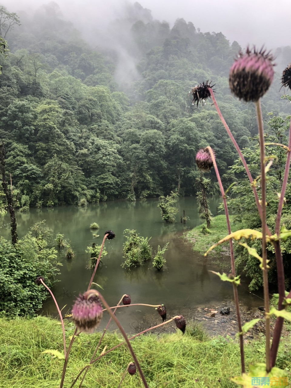 201906196188111560901870467383.jpg