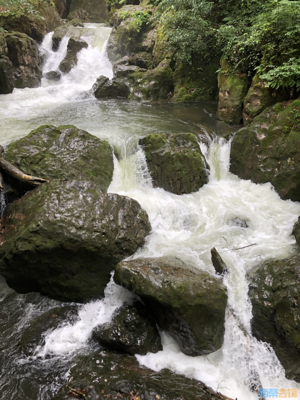 20190619618811156090187088737.jpg